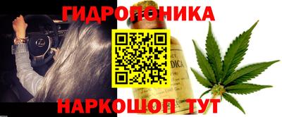 ПСИЛОЦИБИНОВЫЕ ГРИБЫ Бийск