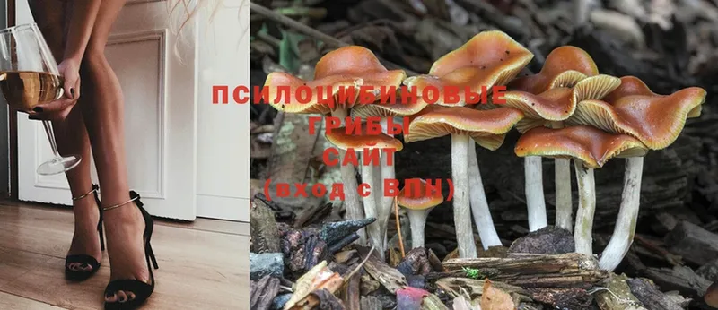 Псилоцибиновые грибы MAGIC MUSHROOMS  Ишимбай 